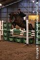 LB - Hest